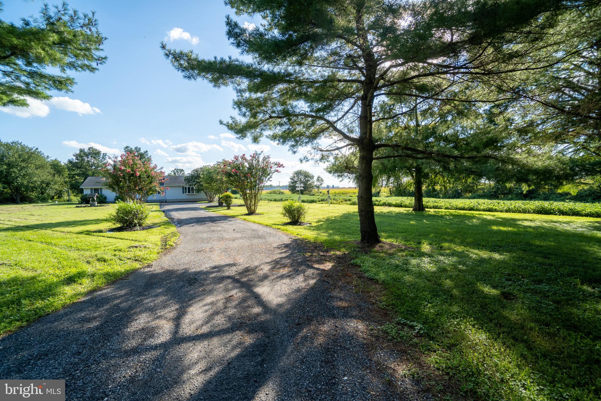 9460 Fisher Road Denton, MD 21629 - Photo 28 of 28 Gallery Image 28