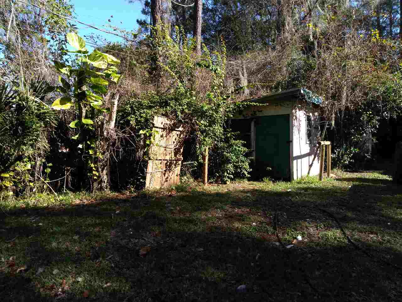 5300 Datil Pepper Road St. Augustine, FL 32086 - Photo 4 of 20