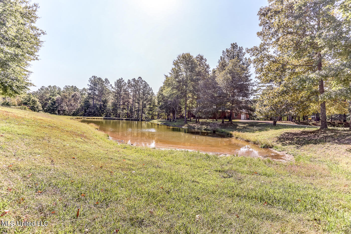 1351 Dorse Road Michigan City, MS 38647 - Photo 66 of 72 IMG_8705_6_7_8_9