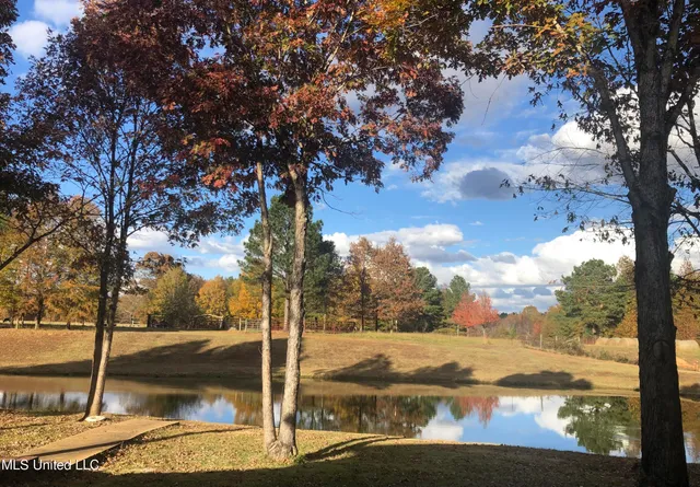 $865,000 | 1351 Dorse Road, Michigan City, MS 38647