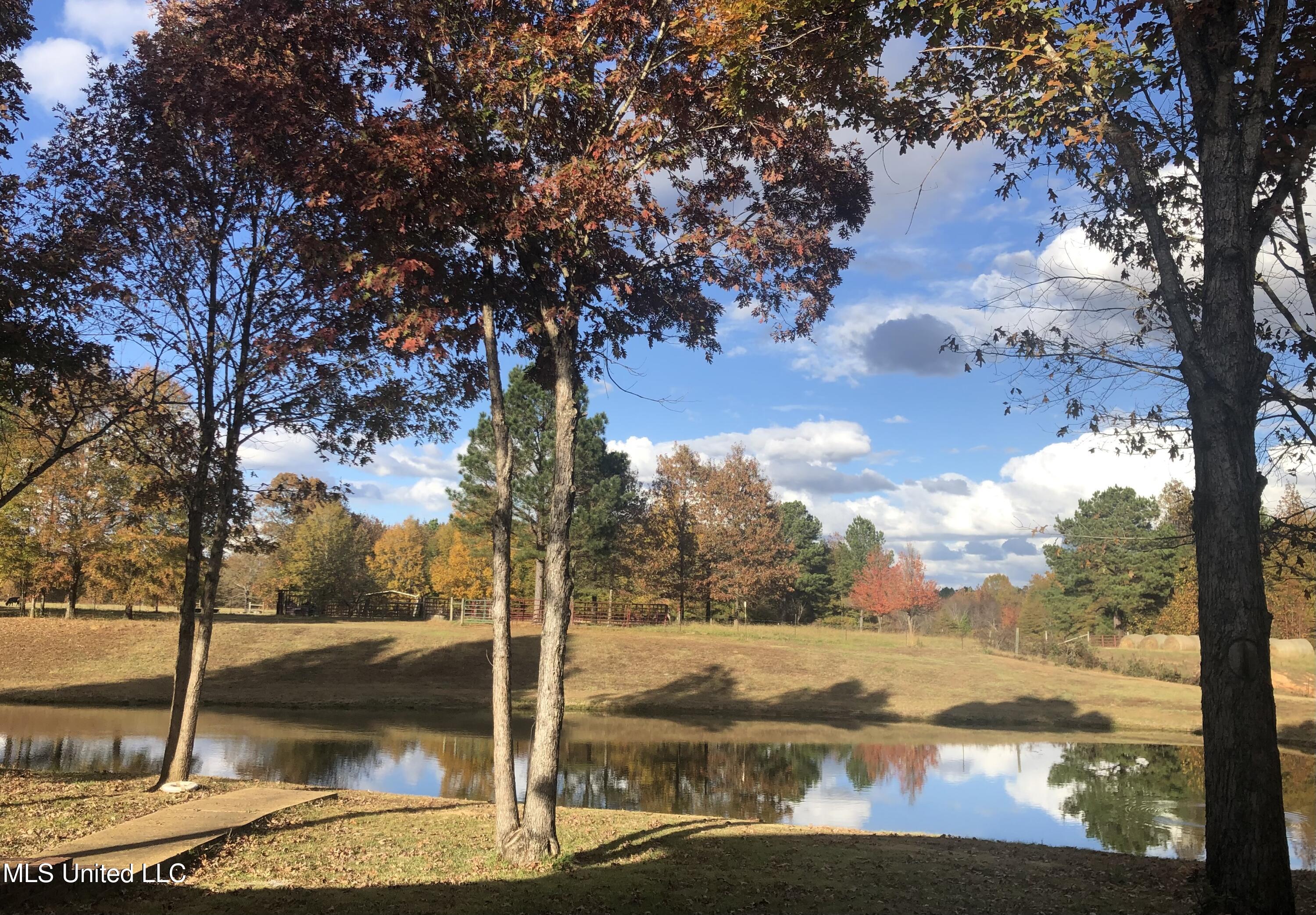 1351 Dorse Road Michigan City, MS 38647 - Photo 67 of 72 image0