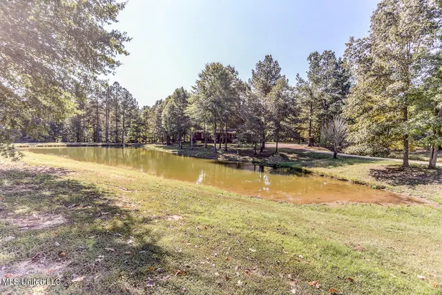 $865,000 | 1351 Dorse Road, Michigan City, MS 38647