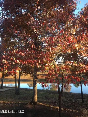 $865,000 | 1351 Dorse Road, Michigan City, MS 38647