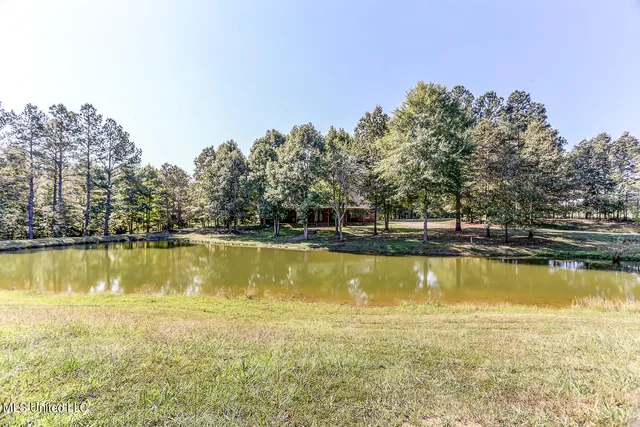 $865,000 | 1351 Dorse Road, Michigan City, MS 38647