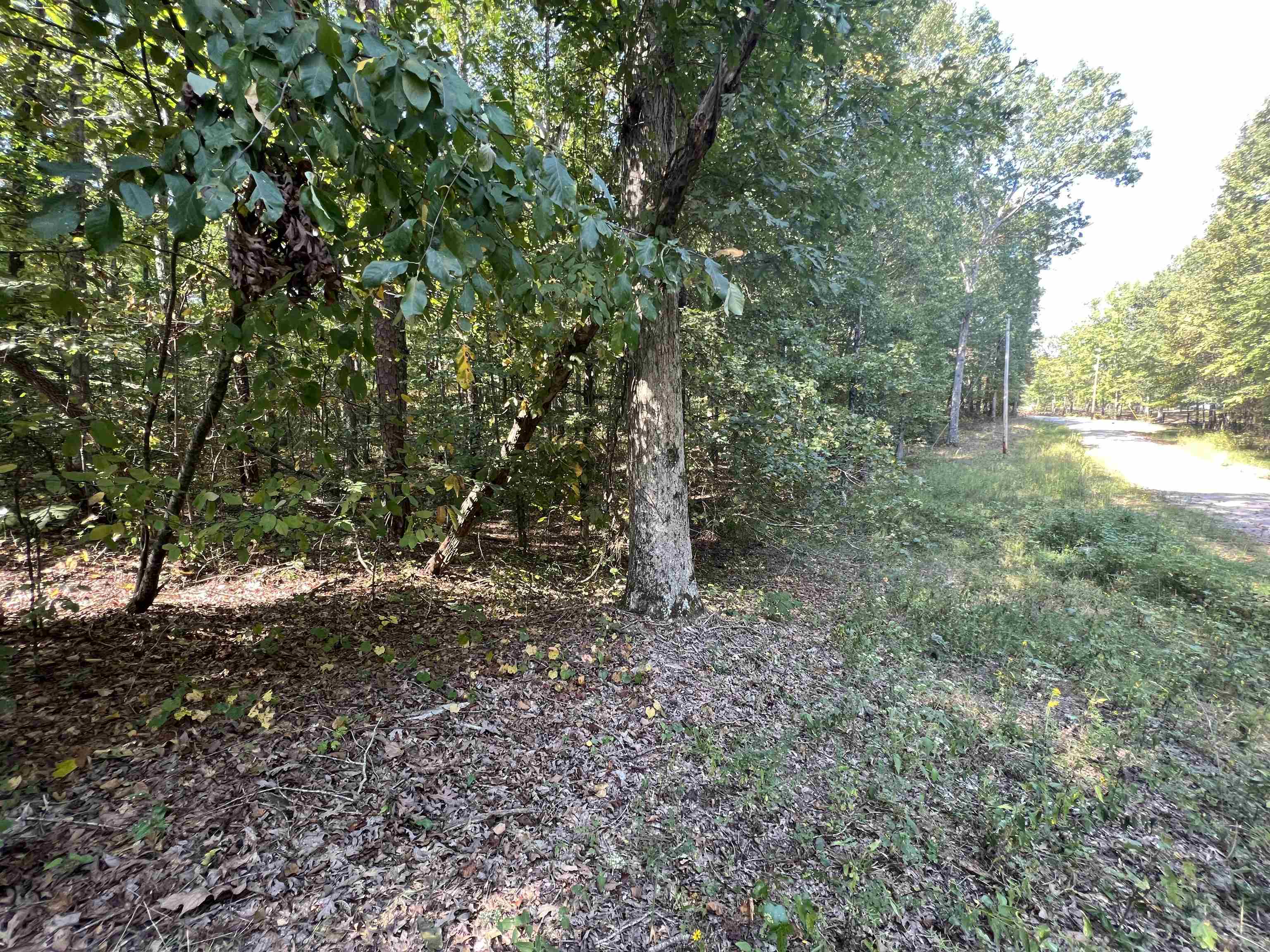 60 Joanne Loop Savannah, TN 38372 - Photo 6 of 12