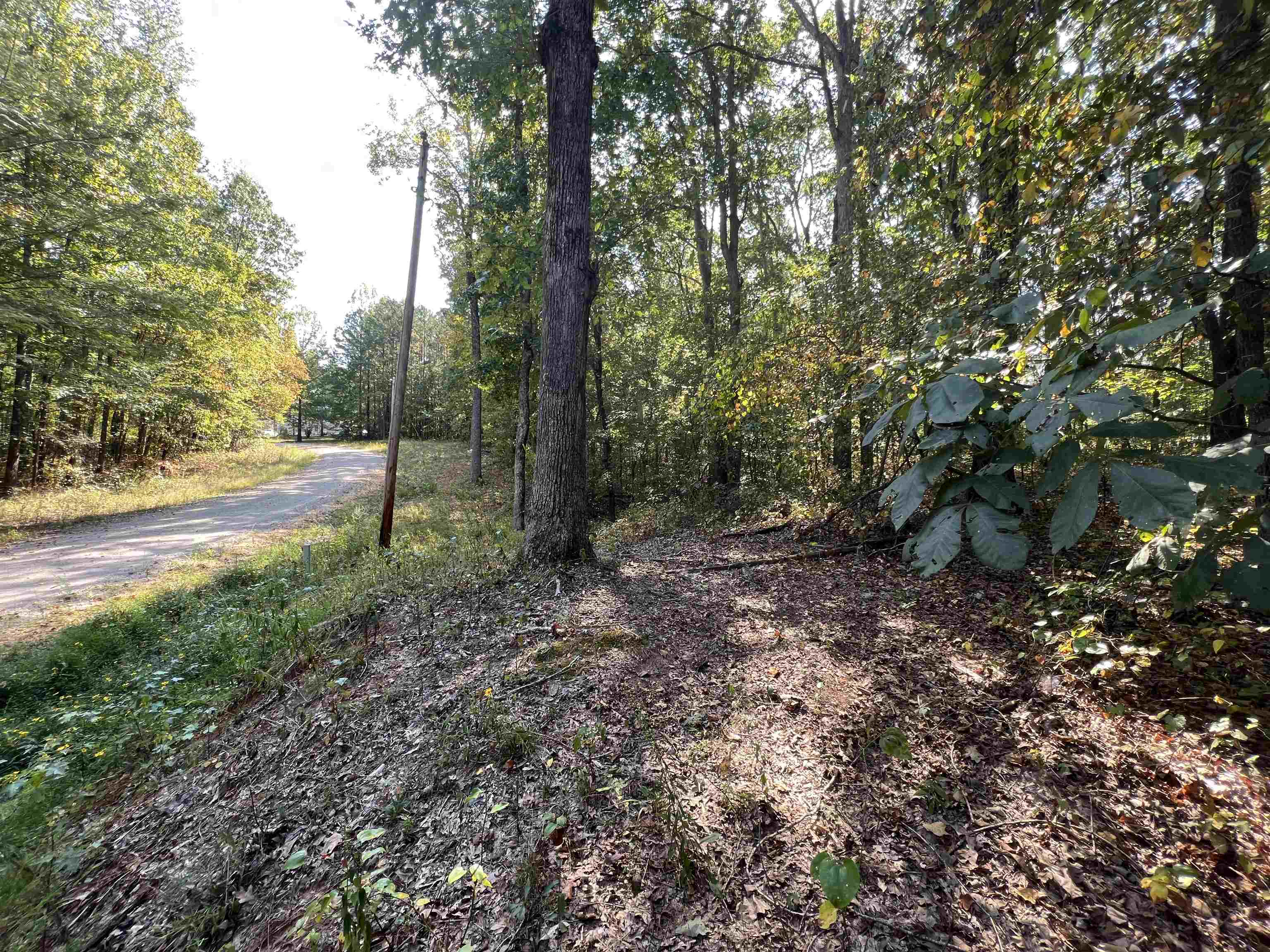 60 Joanne Loop Savannah, TN 38372 - Photo 8 of 12