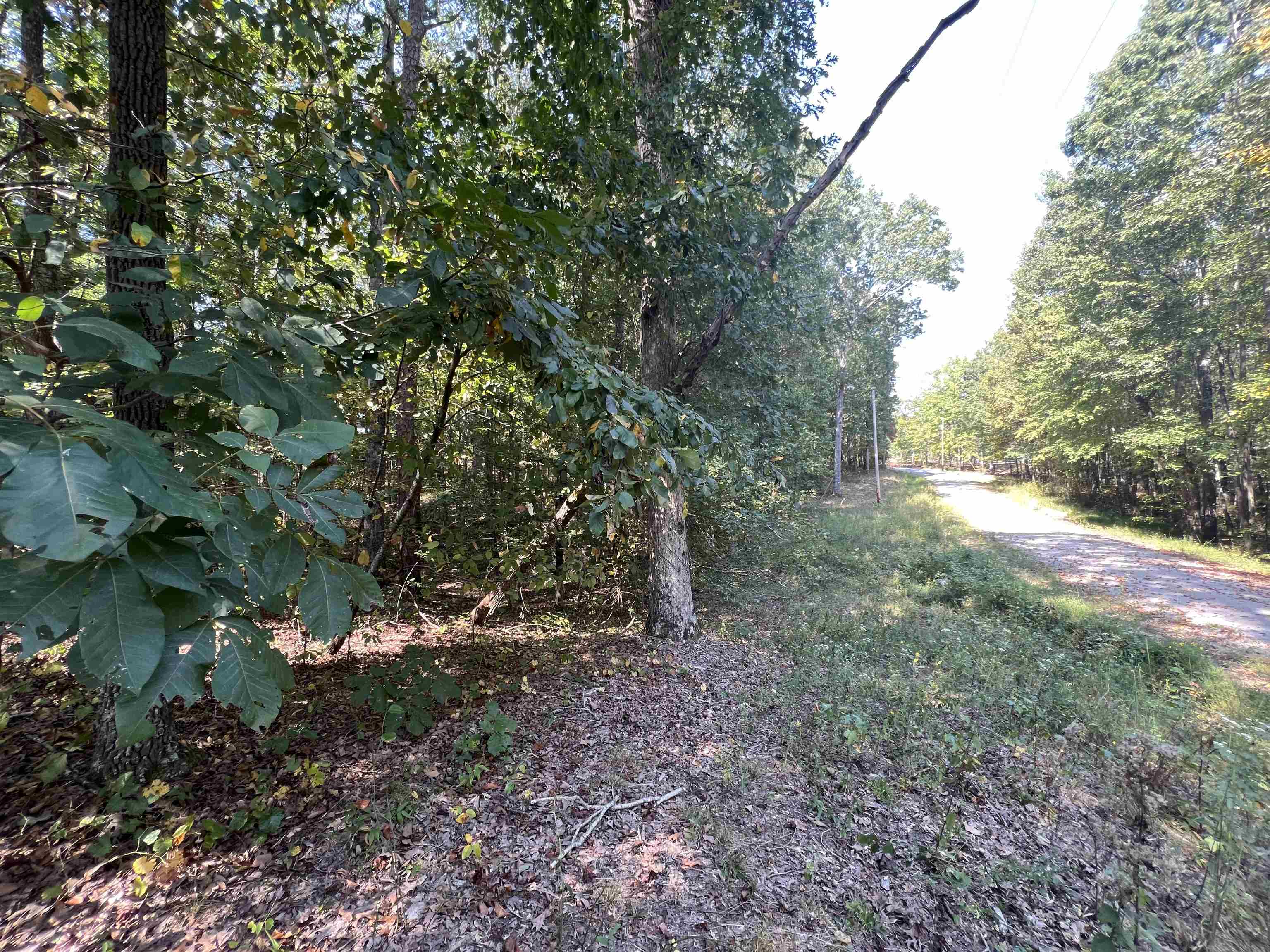 60 Joanne Loop Savannah, TN 38372 - Photo 10 of 12