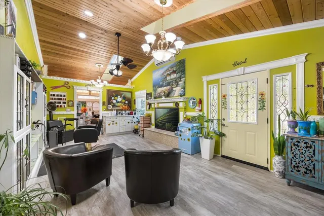 a view of a yard with plants and large trees