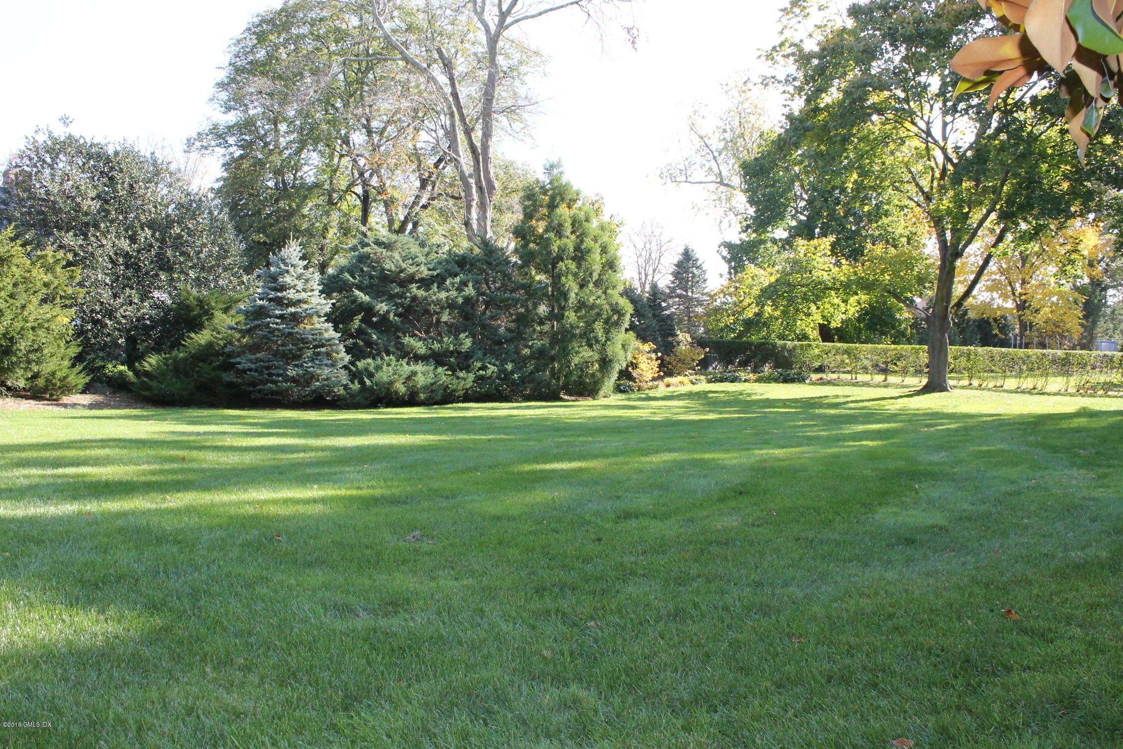 74 Willowmere Circle Riverside, CT 06878 - Photo 5 of 34 a view of a park with large trees