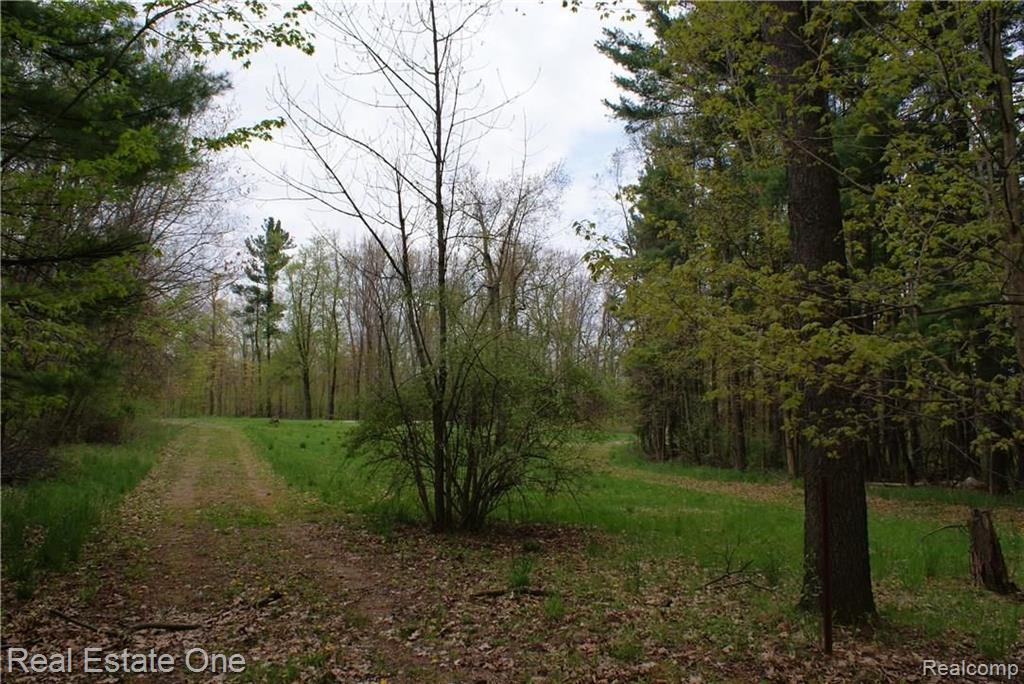 2 McKeen Lake Road Columbiaville, MI 48421 - Photo 37 of 51