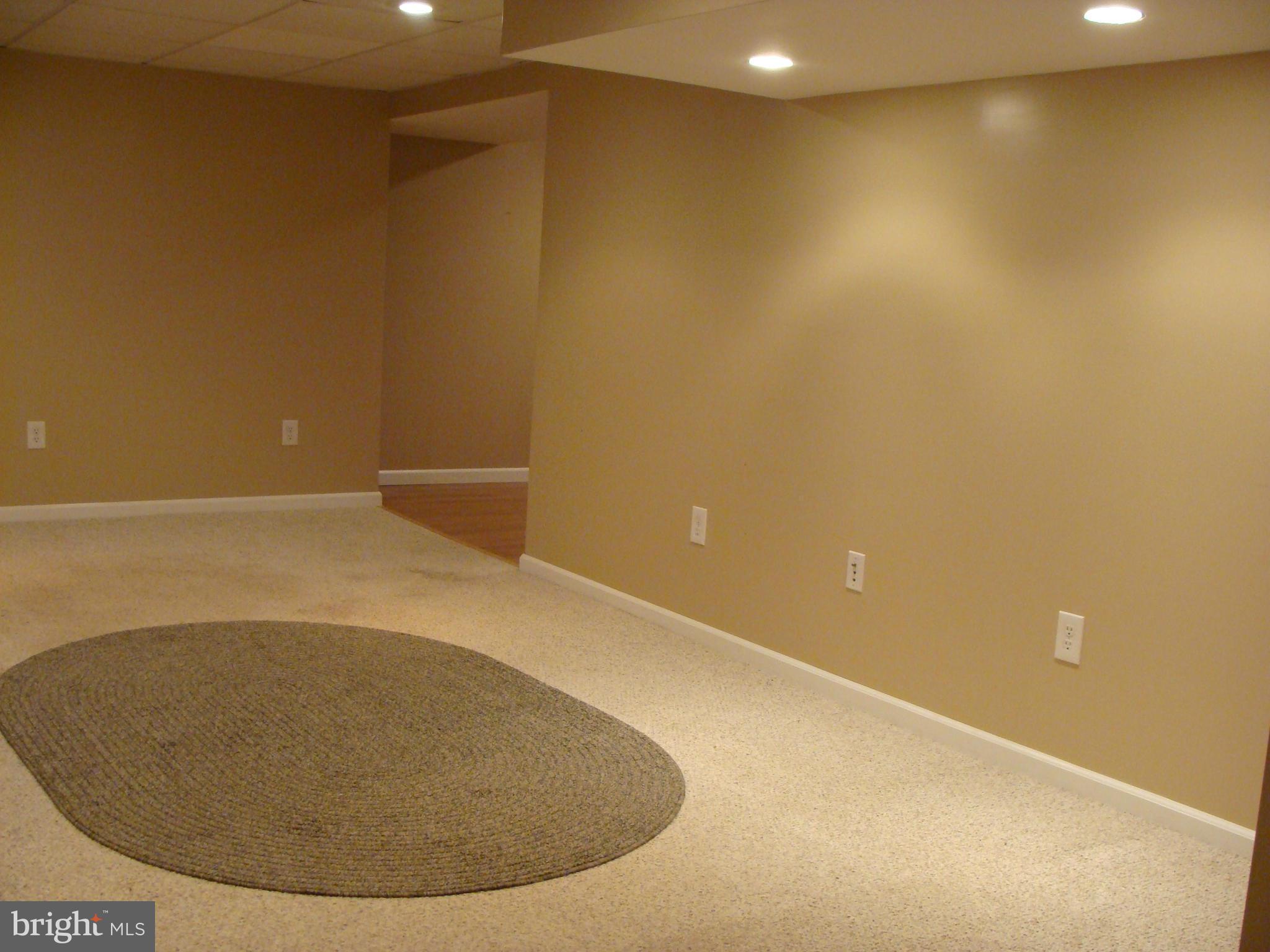 5637 Ashbourne Road Halethorpe, MD 21227 - Photo 20 of 30 Basement