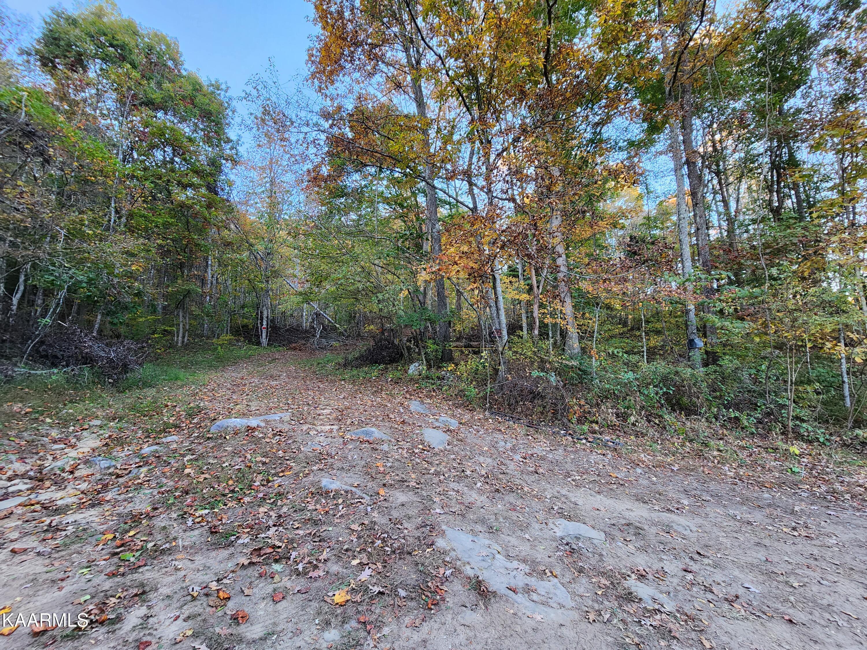 Hubbard Springs Road Jonesville, VA 24263 - Photo 8 of 13 20221014_183901