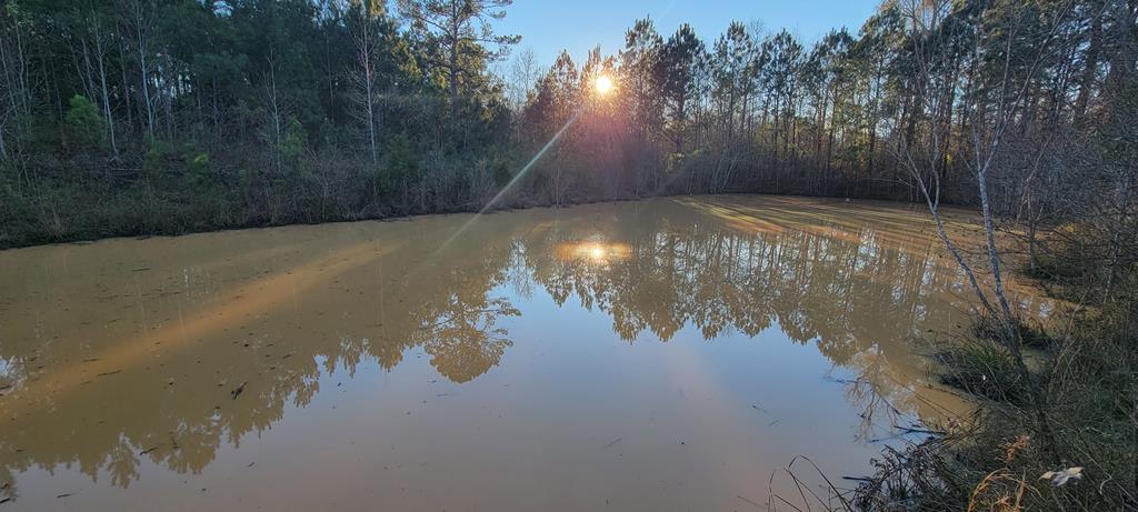 50.45-acres Trawick Road Dothan, AL 36301 - Photo 20 of 62