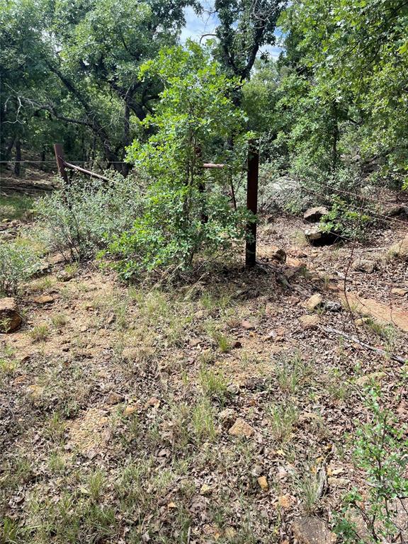 31.09-ac Hoefle Road Jacksboro, TX 76458 - Photo 4 of 33 a view of a forest with a tree