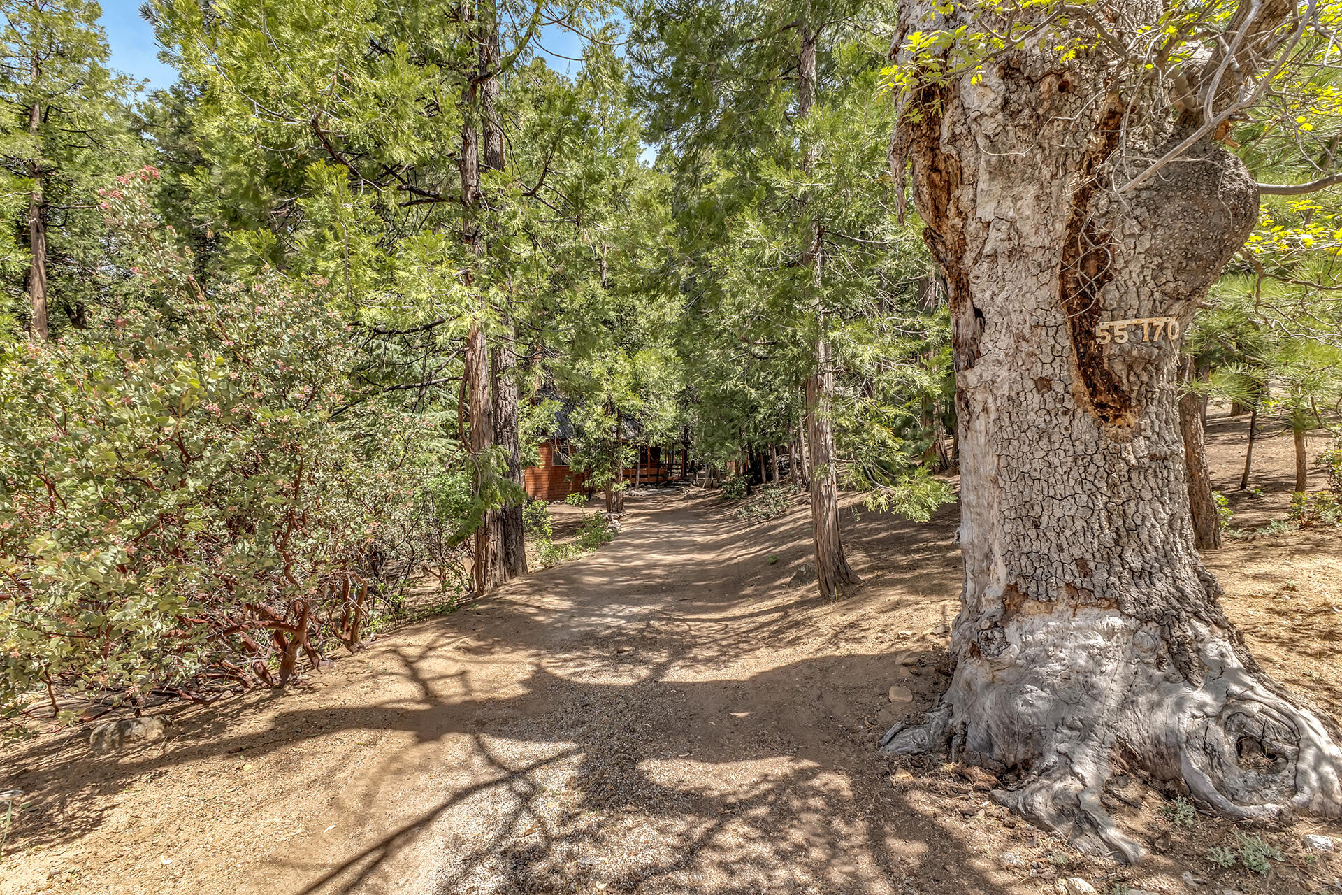 55170 Daryll Road Idyllwild, CA 92549 - Photo 2 of 5 A 50