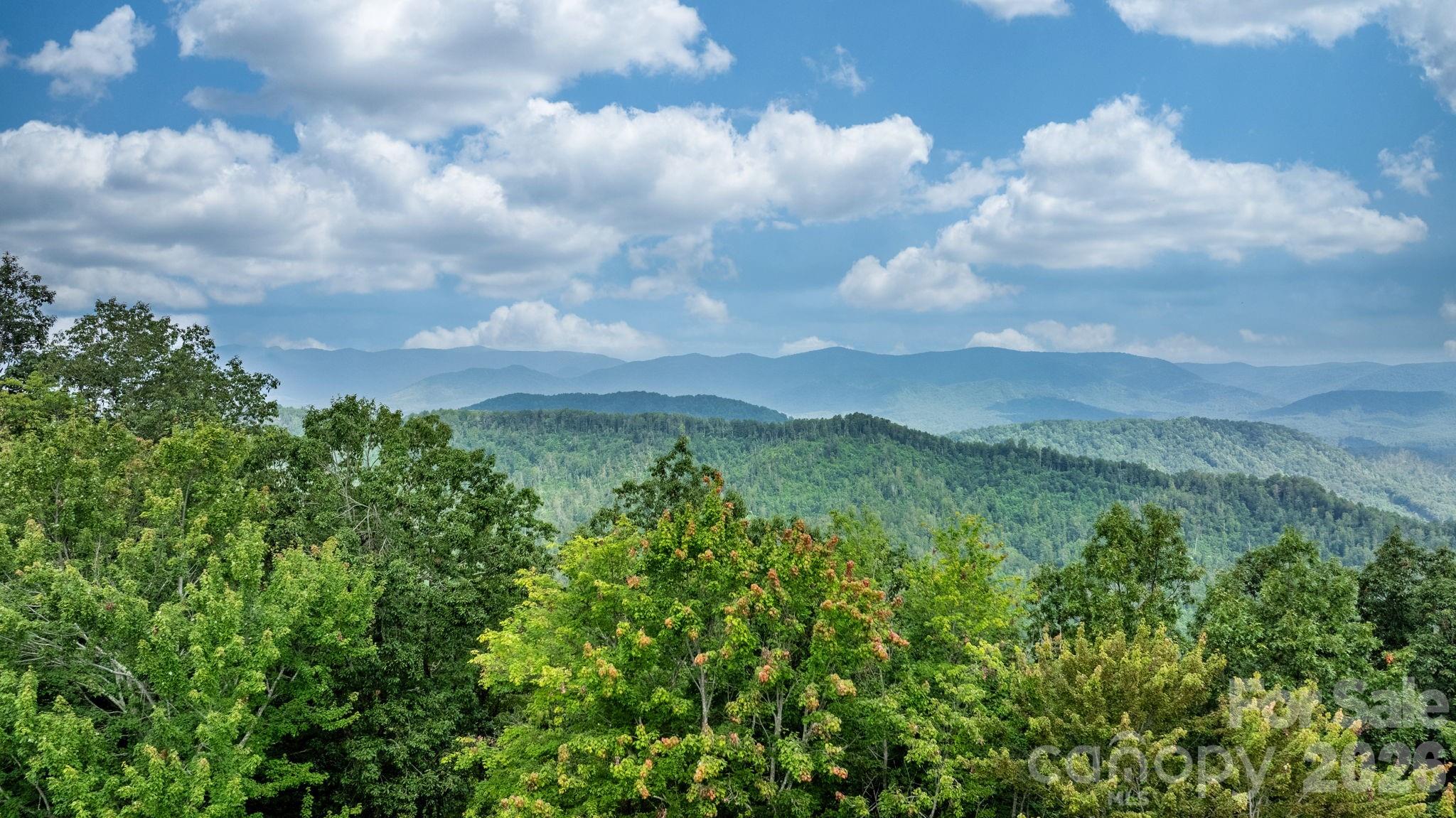 4415 Laurel Ridge Drive Lenoir, NC 28645 - Photo 3 of 48