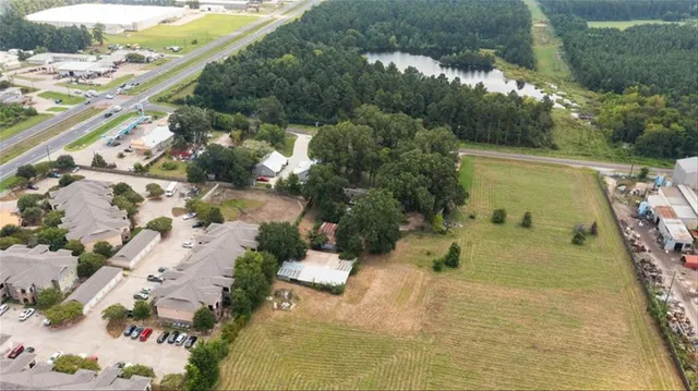 a view of a yard with plants