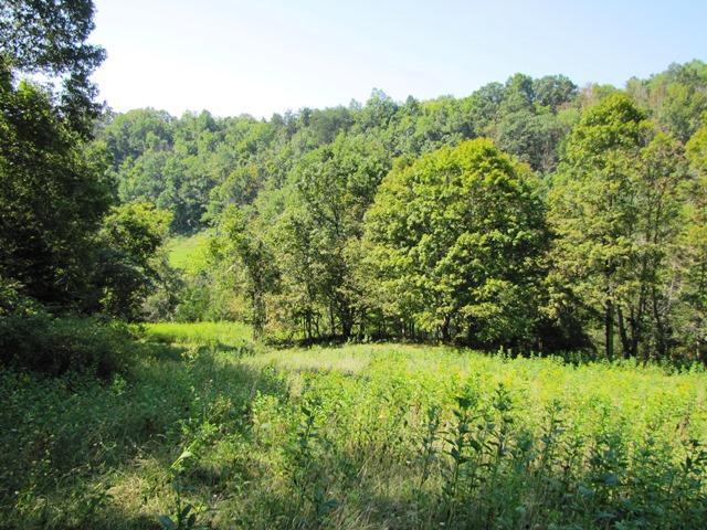2402 Lillydale-Back Creek Road Union, WV 24983 - Photo 7 of 49 Gallery Image 7