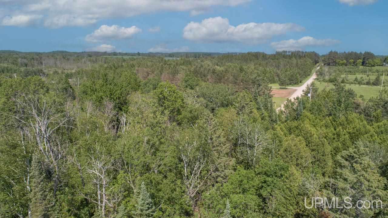 1 D-1 Road Wilson, MI 49896 - Photo 13 of 14