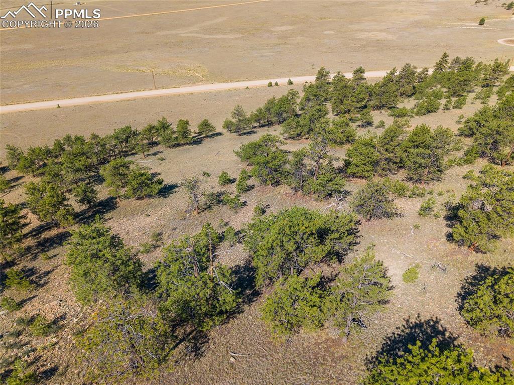 3506 Elkhorn Road Hartsel, CO 80449 - Photo 13 of 22 a view of a field with an ocean view