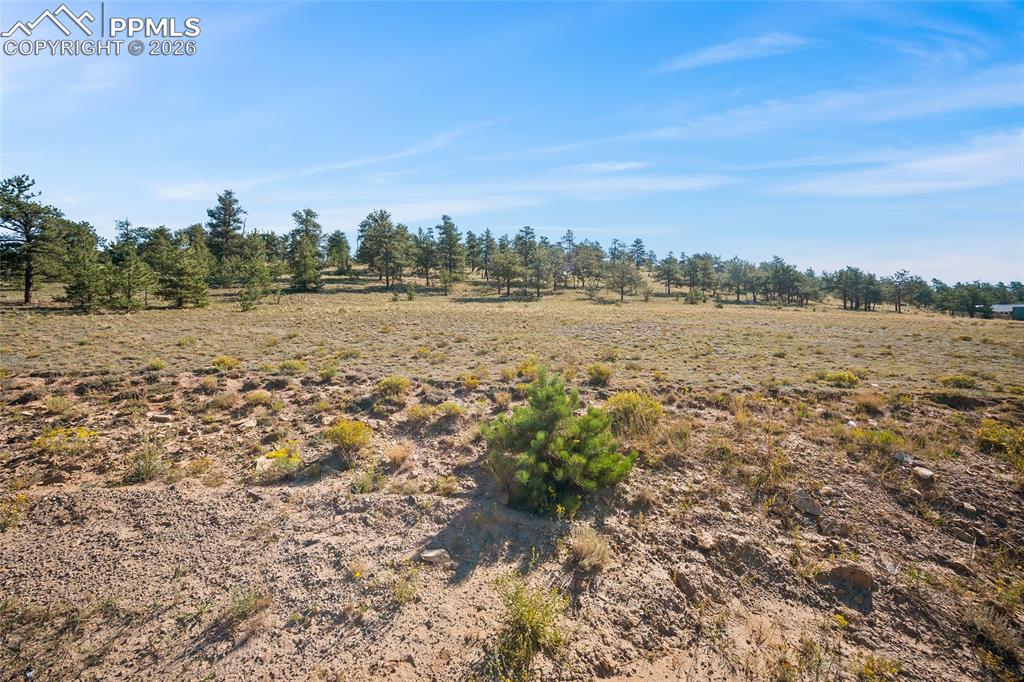 3506 Elkhorn Road Hartsel, CO 80449 - Photo 14 of 22 a view of lake and mountain