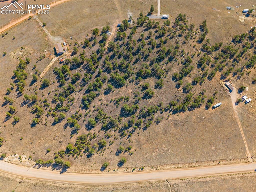 3506 Elkhorn Road Hartsel, CO 80449 - Photo 5 of 22 a view of a dry yard