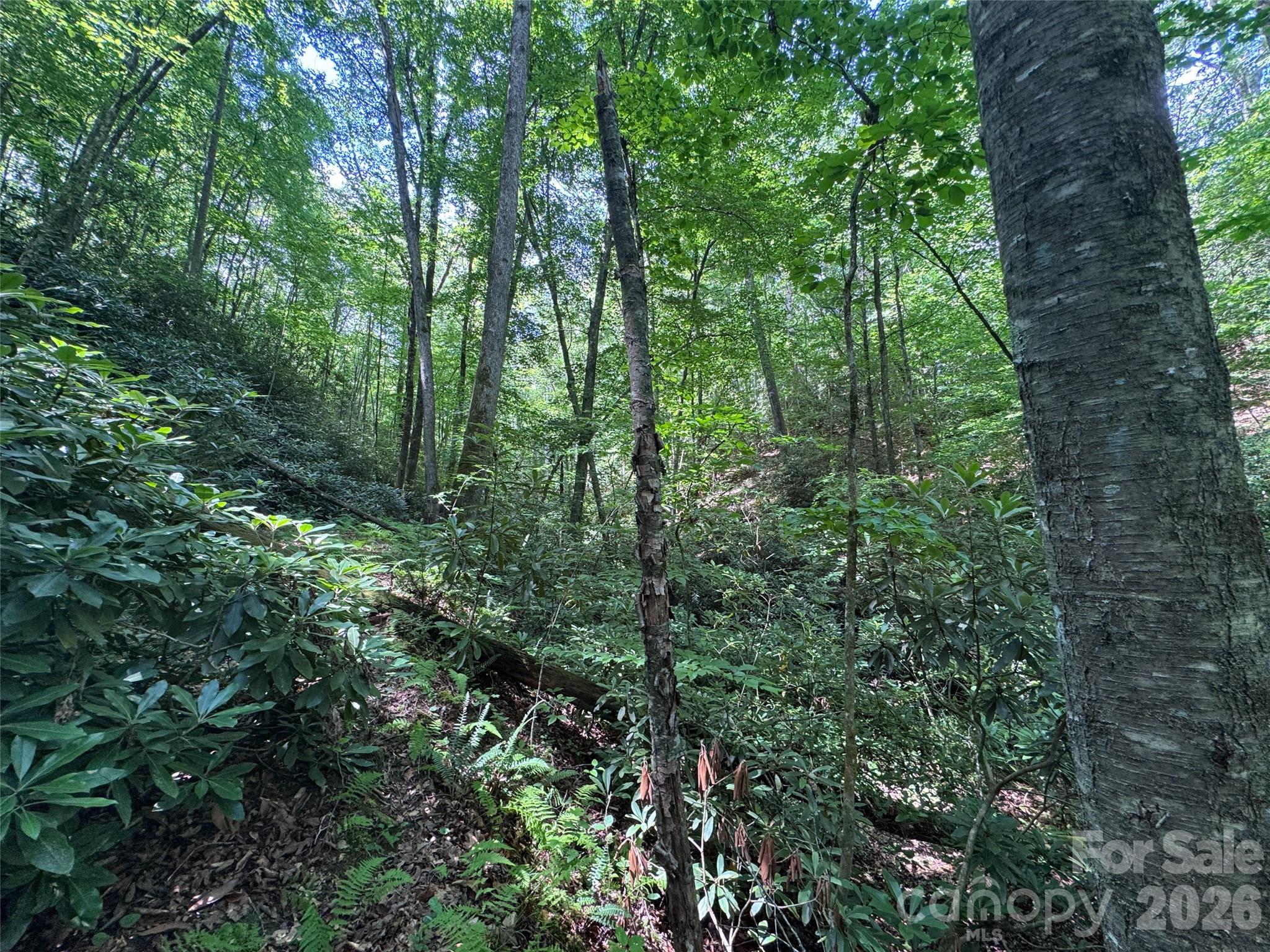 10 A Reserve Road Pisgah Forest, NC 28768 - Photo 6 of 33