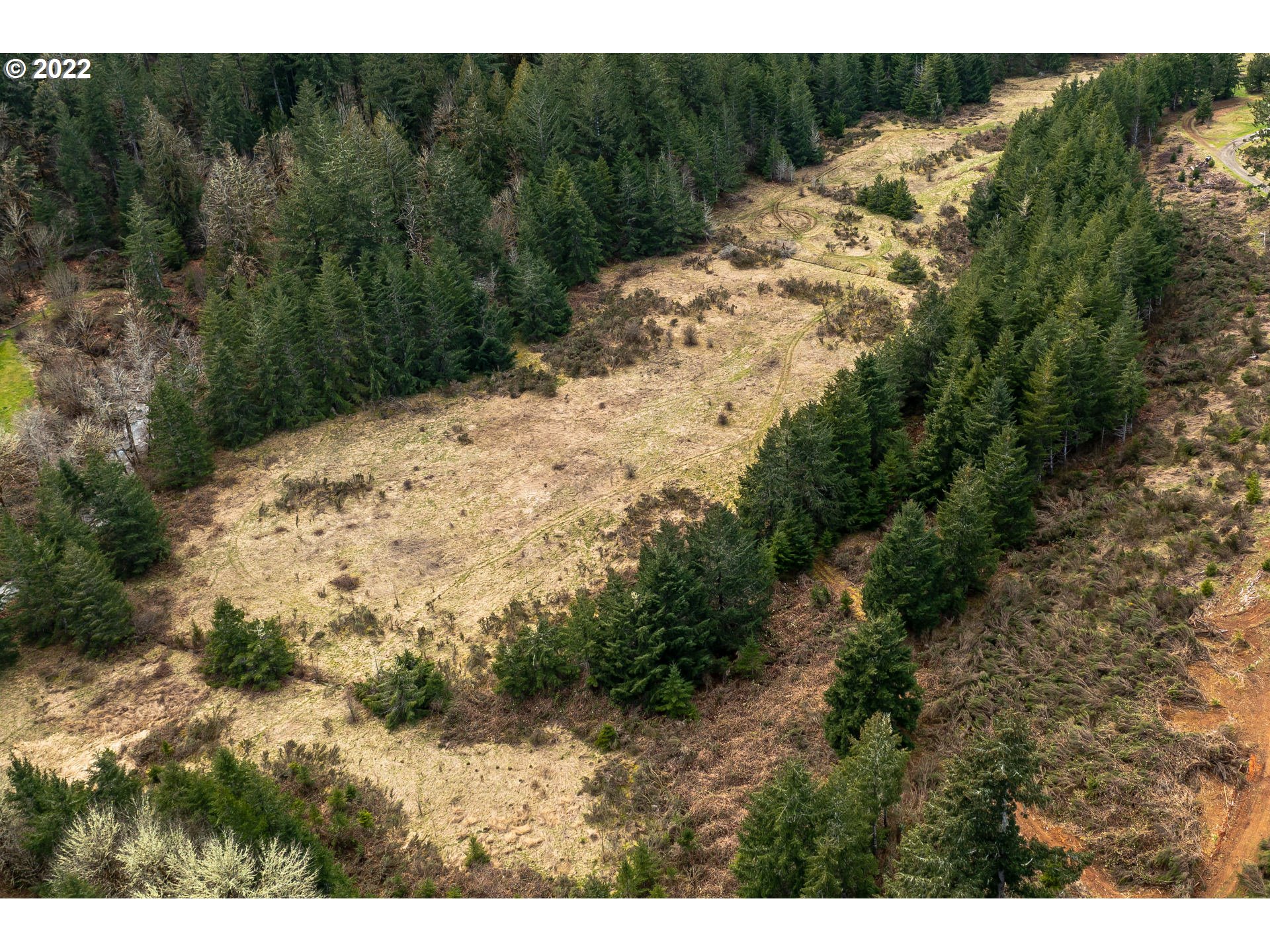 0 Northwest Panther Creek Road Carlton, OR 97111 - Photo 17 of 32 a view of a yard with a tree