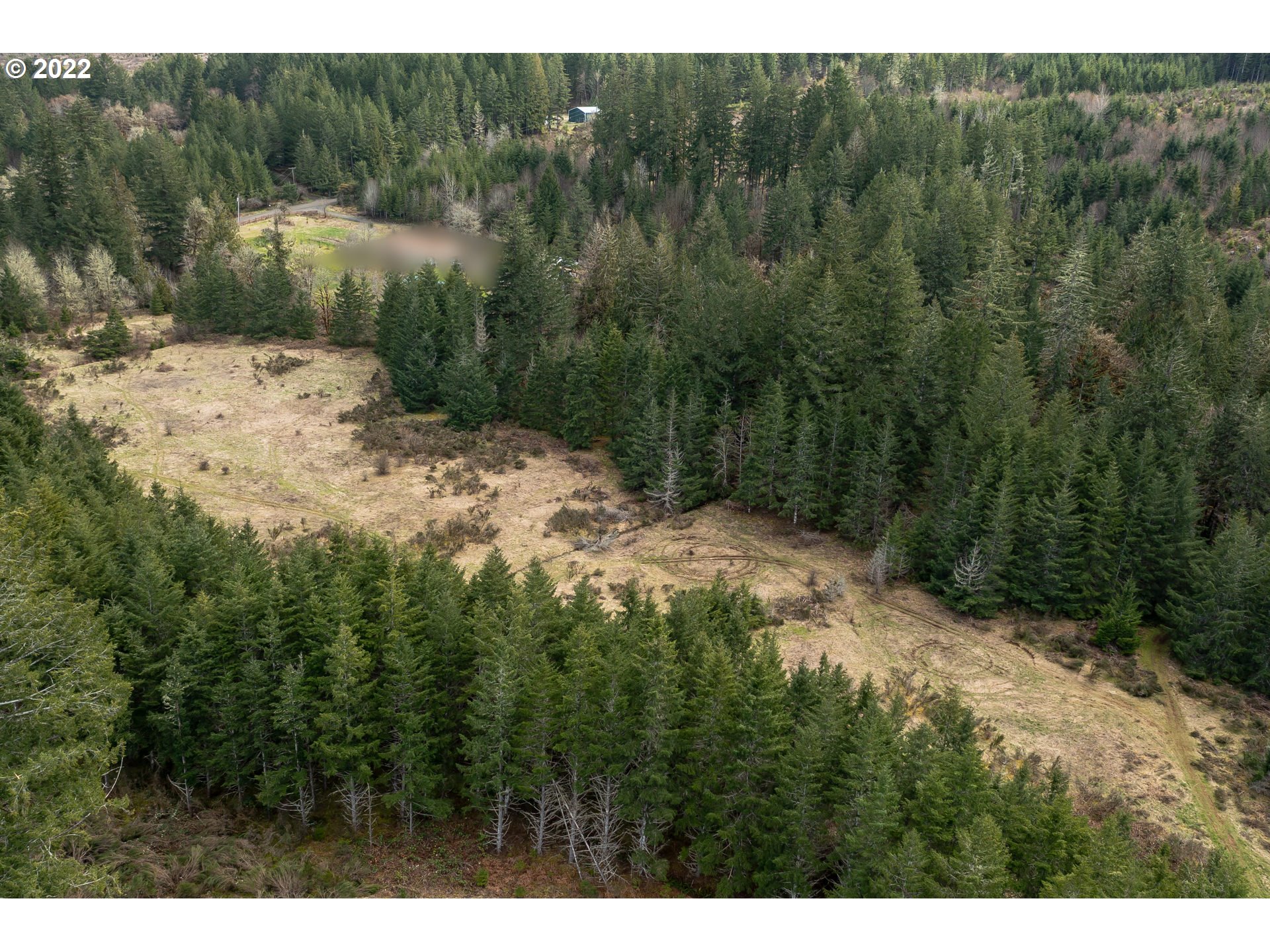 0 Northwest Panther Creek Road Carlton, OR 97111 - Photo 20 of 32 a view of a forest with a street