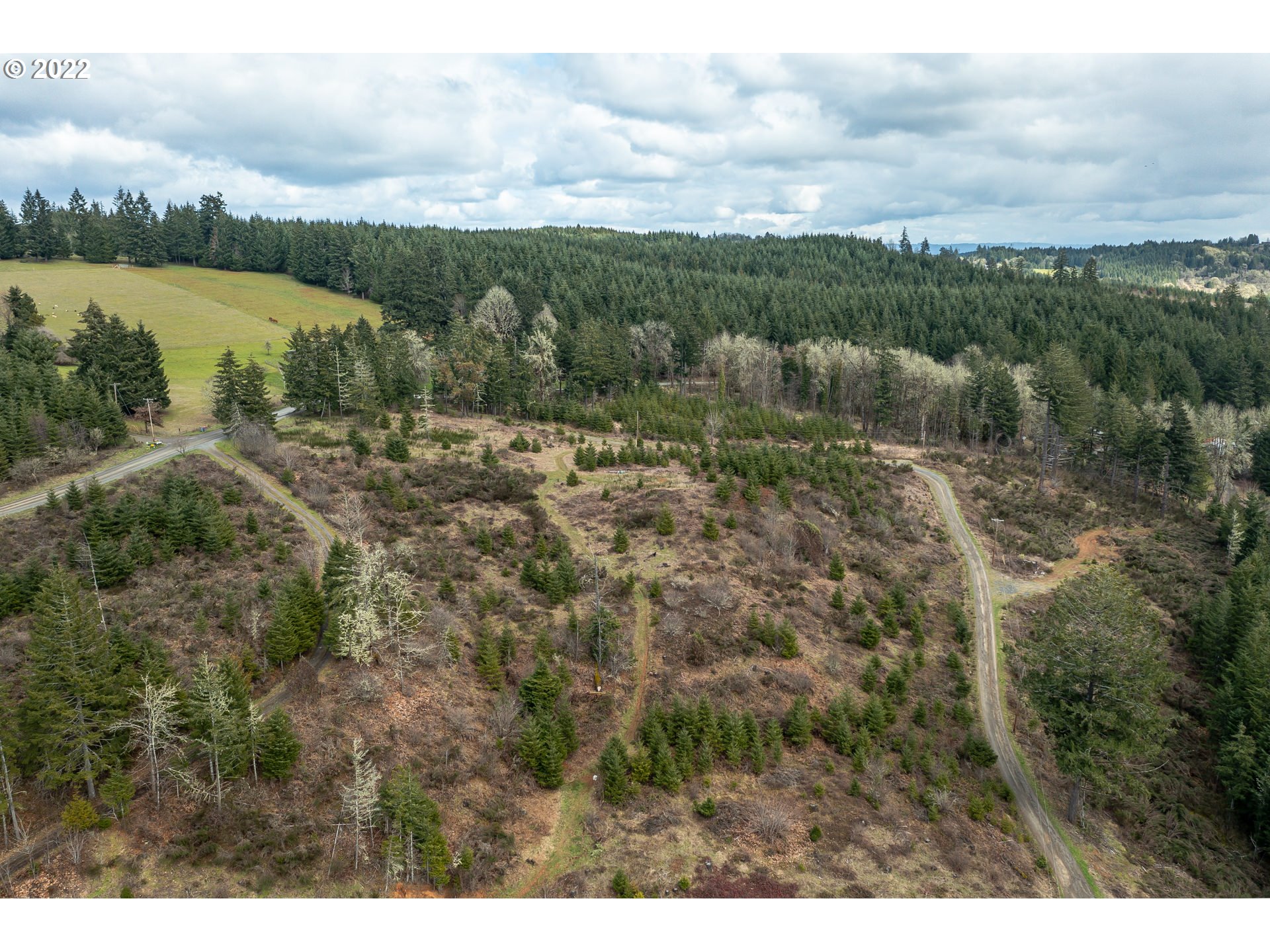 0 Northwest Panther Creek Road Carlton, OR 97111 - Photo 29 of 32 a view of a lake with a city