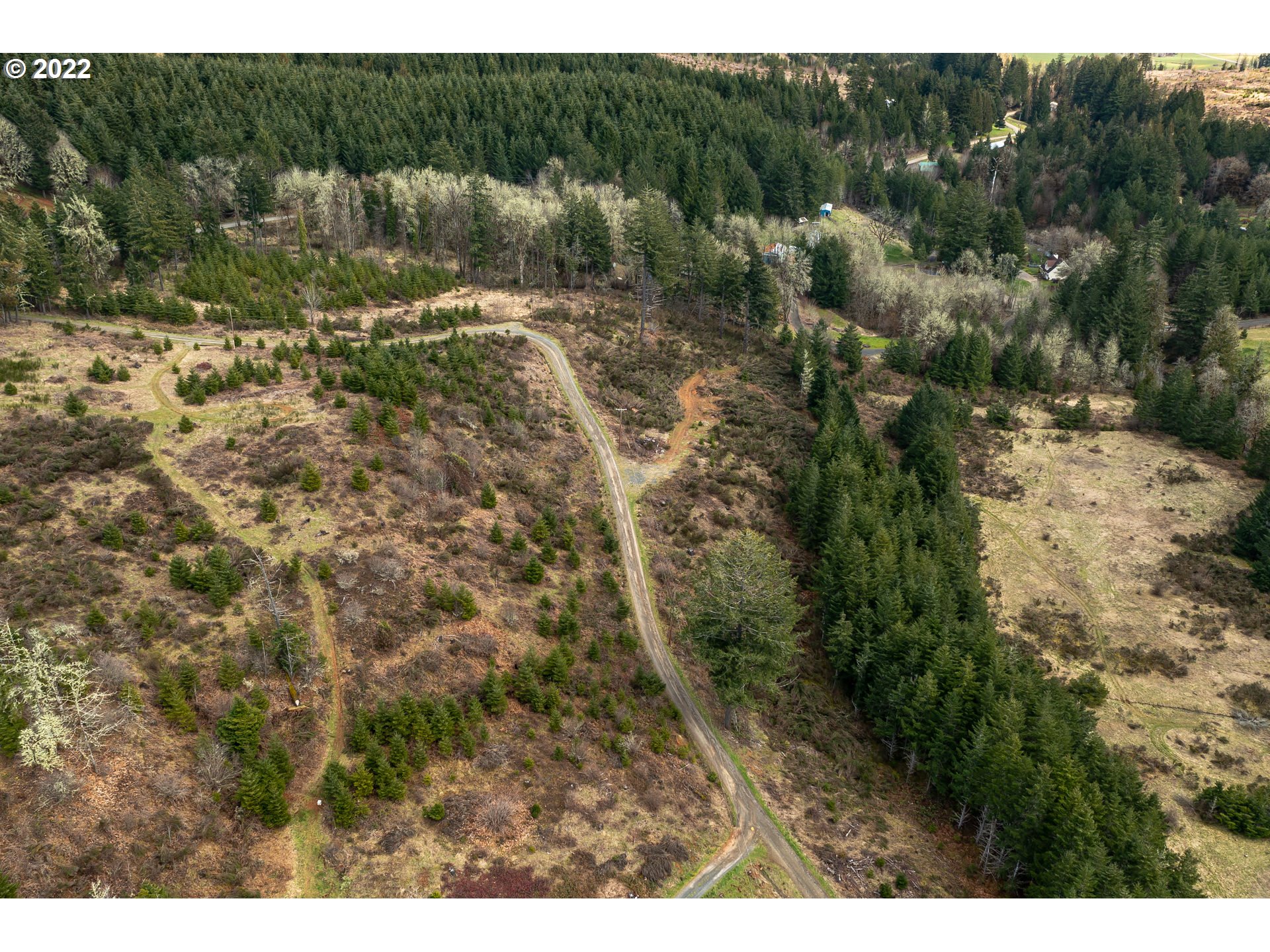 0 Northwest Panther Creek Road Carlton, OR 97111 - Photo 30 of 32 a view of a yard with a tree