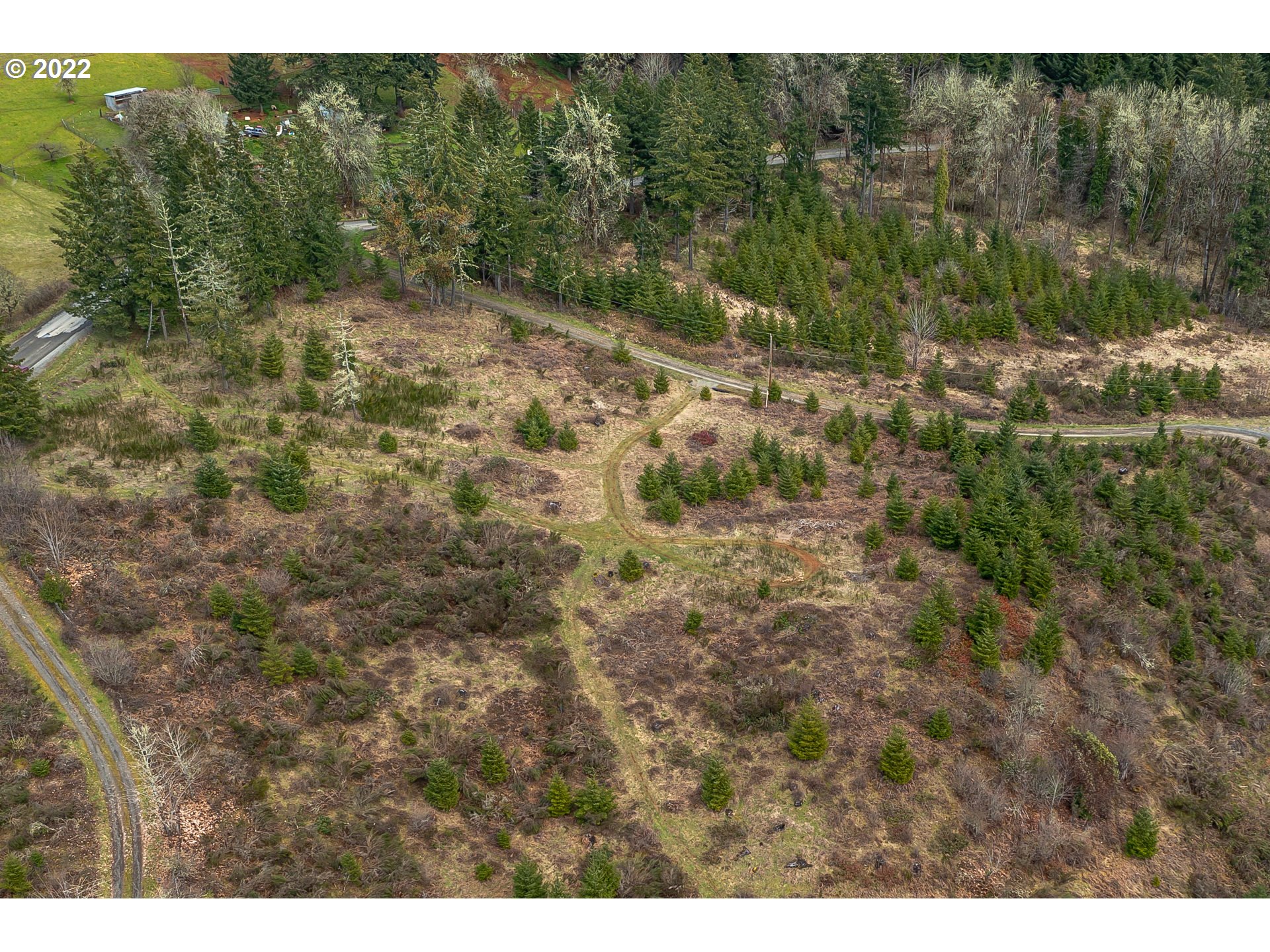0 Northwest Panther Creek Road Carlton, OR 97111 - Photo 32 of 32 a view of a yard with a tree