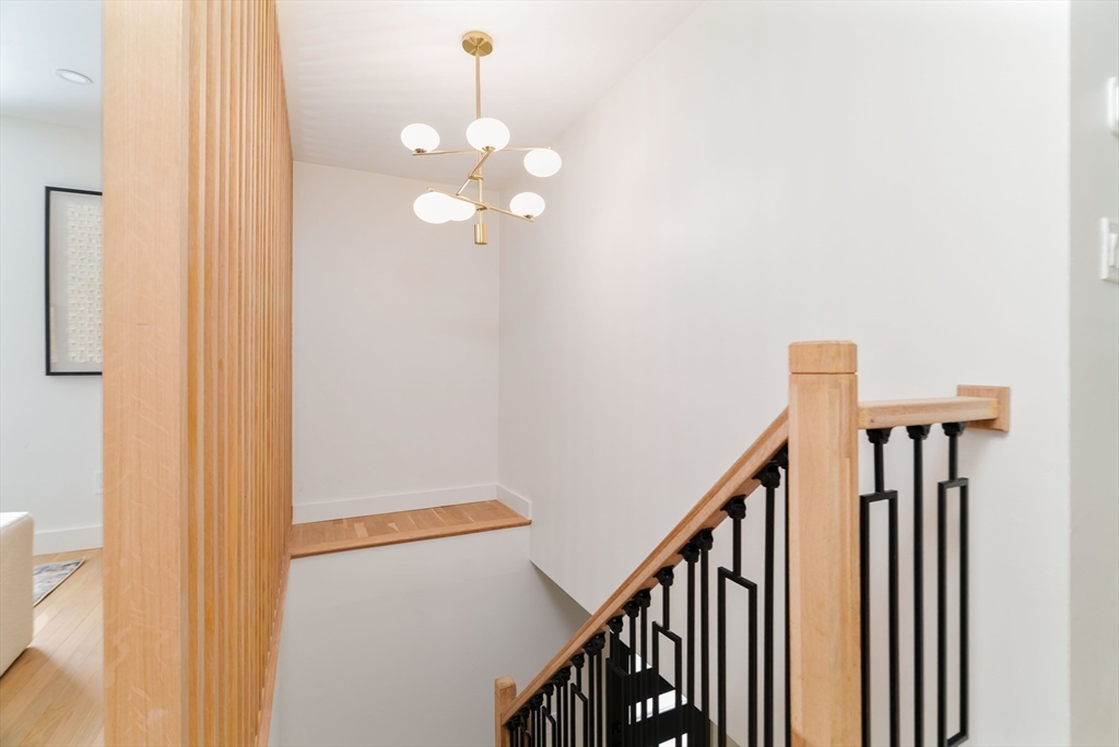 8 Emily Road Framingham, MA 01701 - Photo 32 of 42