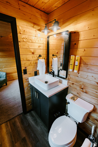 1413 Basel Drive Midway, UT 84049 - Photo 67 of 137 Half bath with wooden walls, vanity, wooden ceiling, and dark wood-style flooring