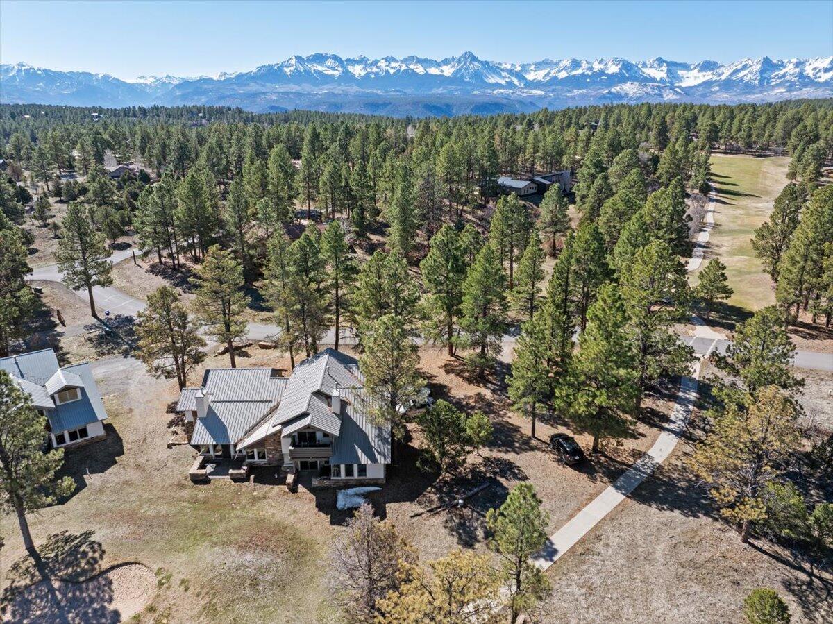 51 Red Fox Lane Ridgway, CO 81432 - Photo 29 of 31 29-DJI_20260321105038_0336_D