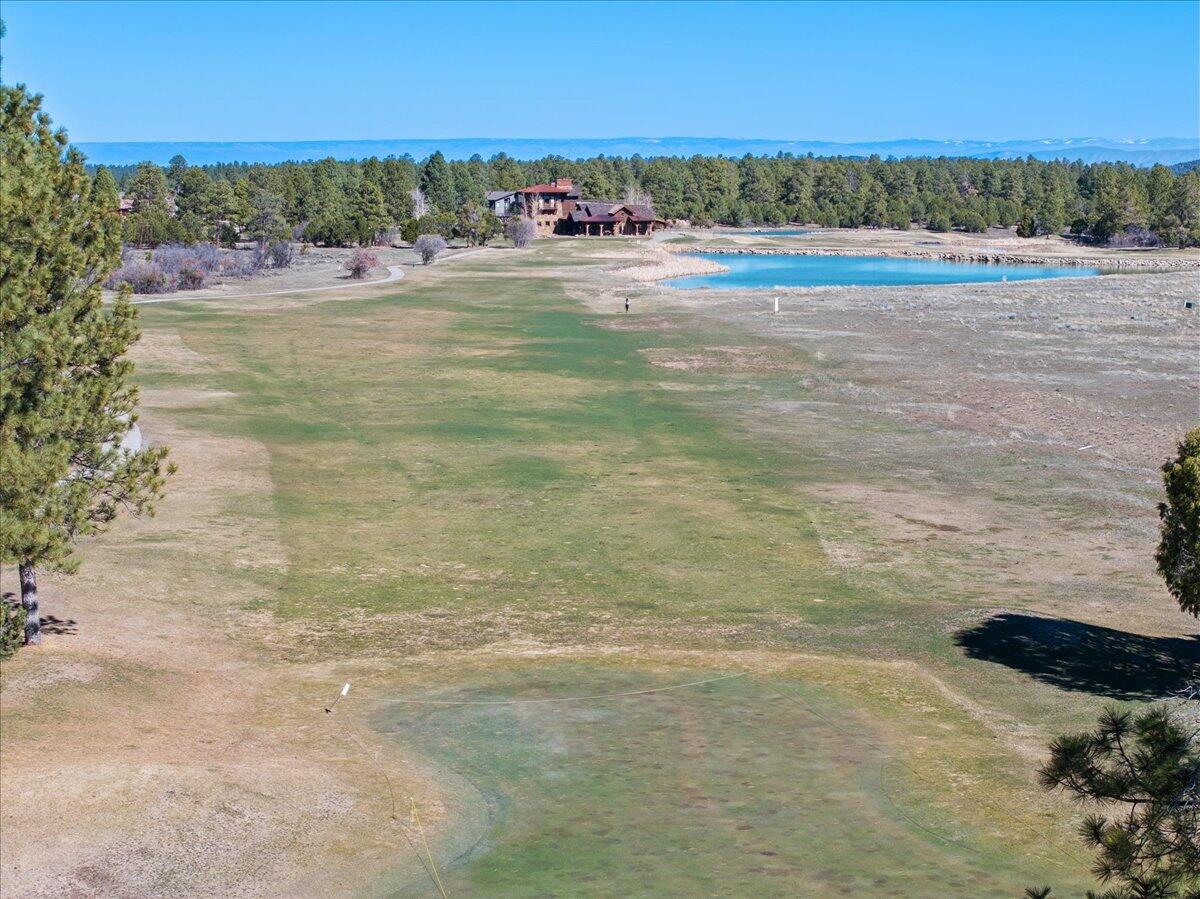 51 Red Fox Lane Ridgway, CO 81432 - Photo 30 of 31 30-DJI_20260321105639_0348_D