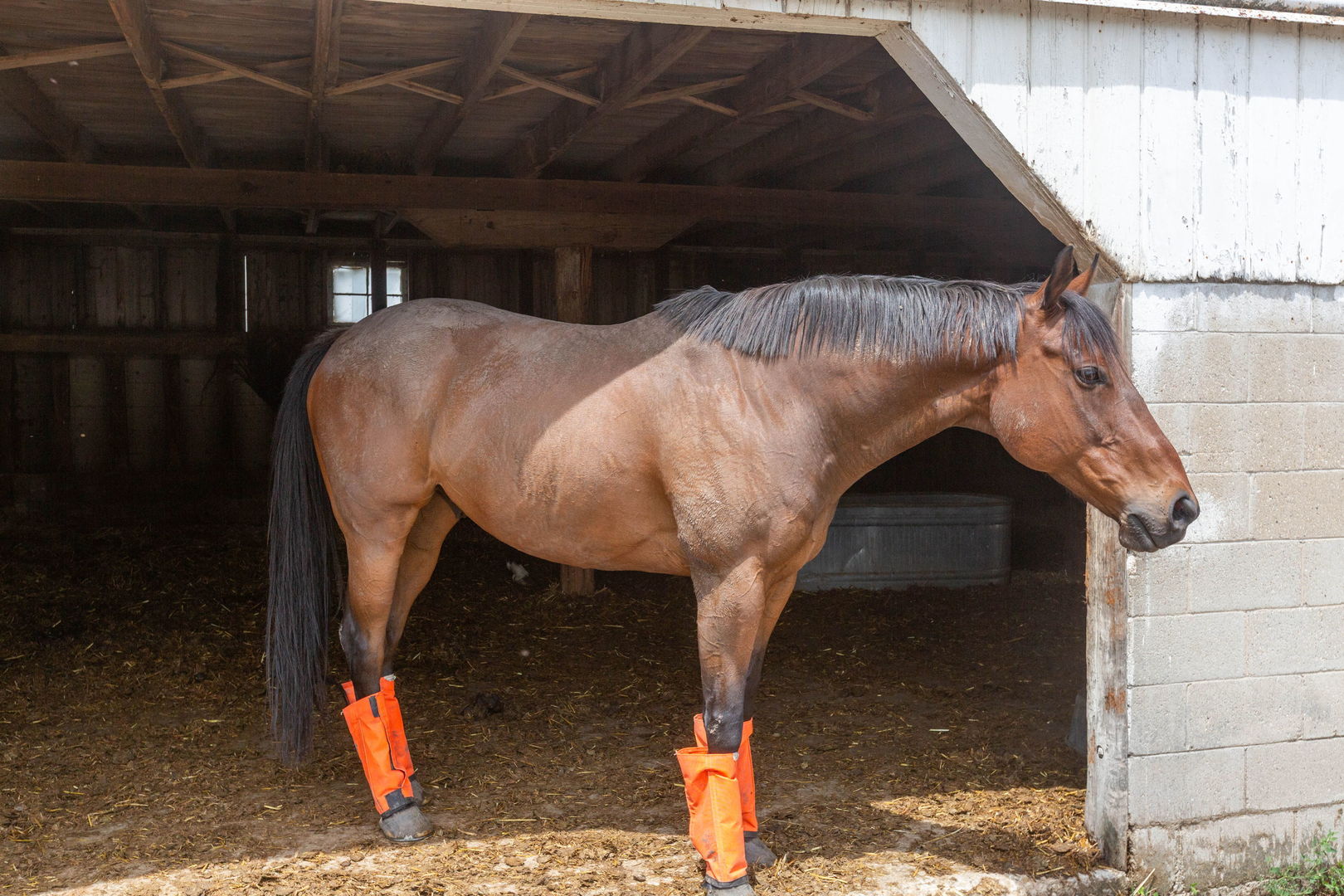 39525 North Delany Road Wadsworth, IL 60083 - Photo 26 of 38