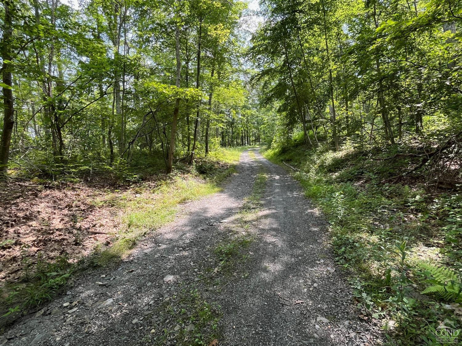 0 Cascade Mountain Road Amenia, NY 12501 - Photo 15 of 18 a view of a yard with plants and trees