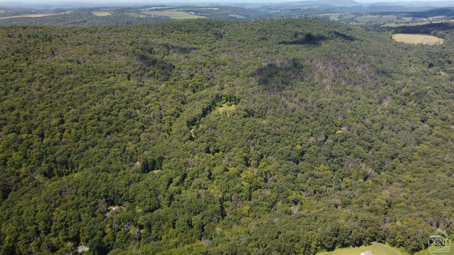 0 Cascade Mountain Road Amenia, NY 12501 - Photo 17 of 18 a view of a field with trees in background