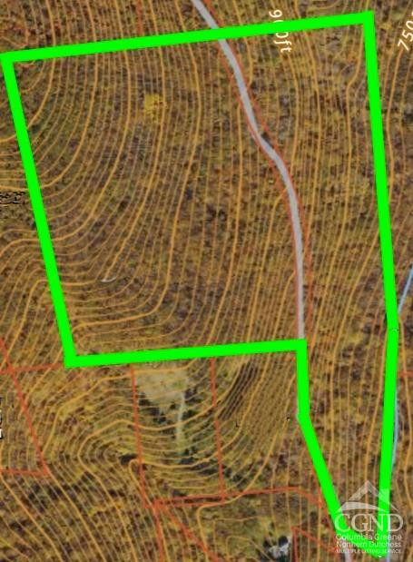 0 Cascade Mountain Road Amenia, NY 12501 - Photo 2 of 18 a backyard of a house with lots of green space and trees in the background