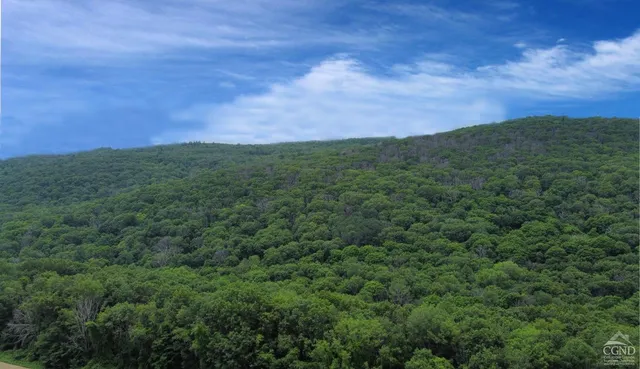 a view of a city with lush green forest