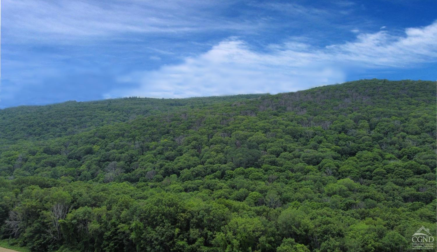 0 Cascade Mountain Road Amenia, NY 12501 - Photo 3 of 18 a view of a city with lush green forest