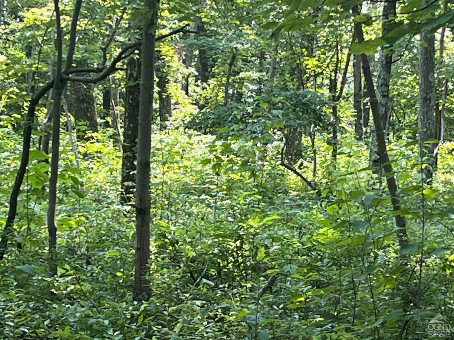 0 Cascade Mountain Road Amenia, NY 12501 - Photo 8 of 18 a view of outdoor space and mountain view