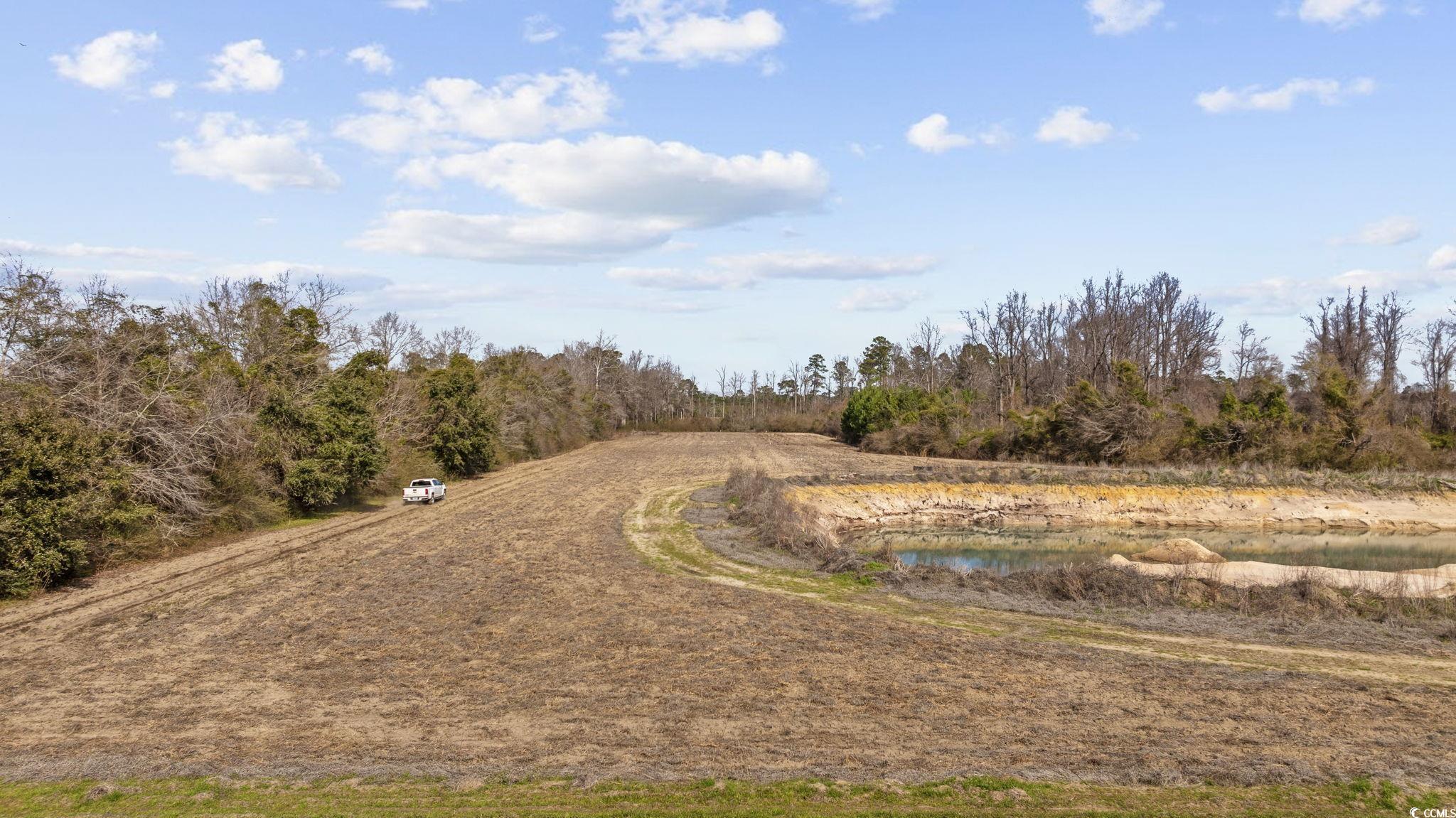 Tbd Gurley Road Loris, SC 29569 - Photo 4 of 22
