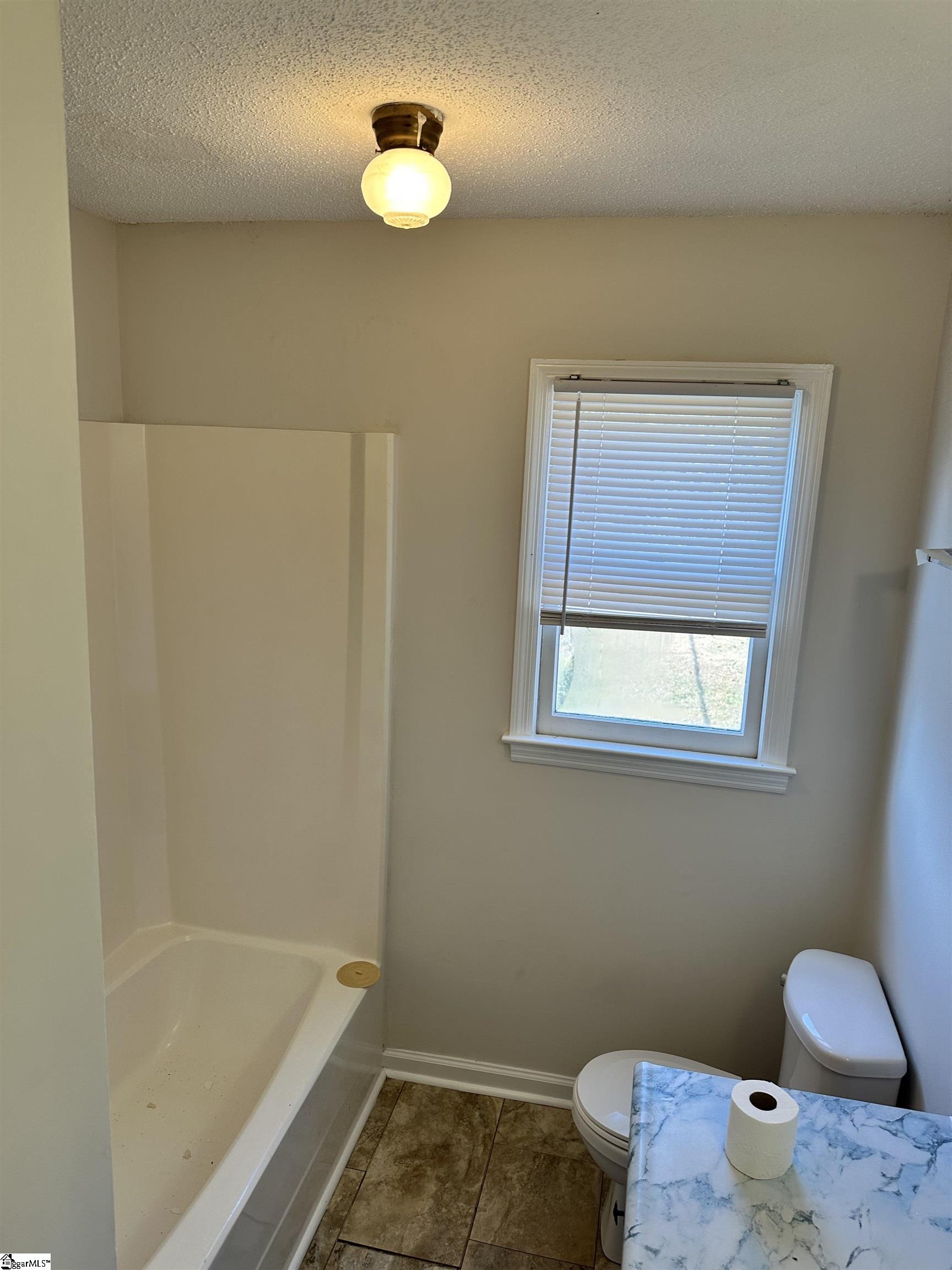 199 Shortie Street Greer, SC 29651 - Photo 15 of 20