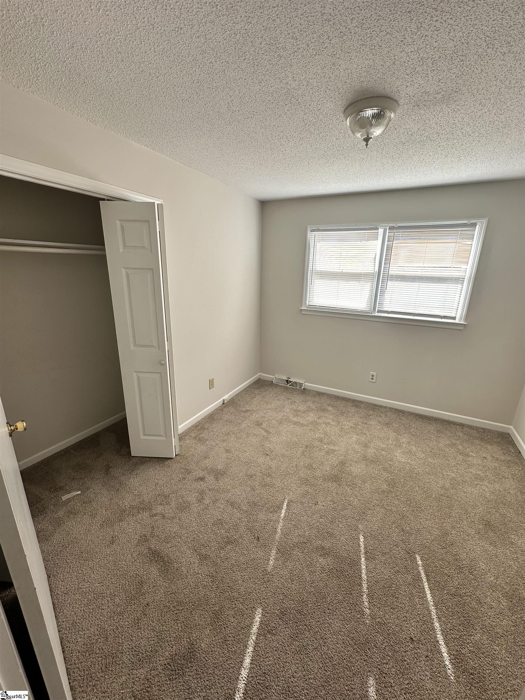 199 Shortie Street Greer, SC 29651 - Photo 19 of 20