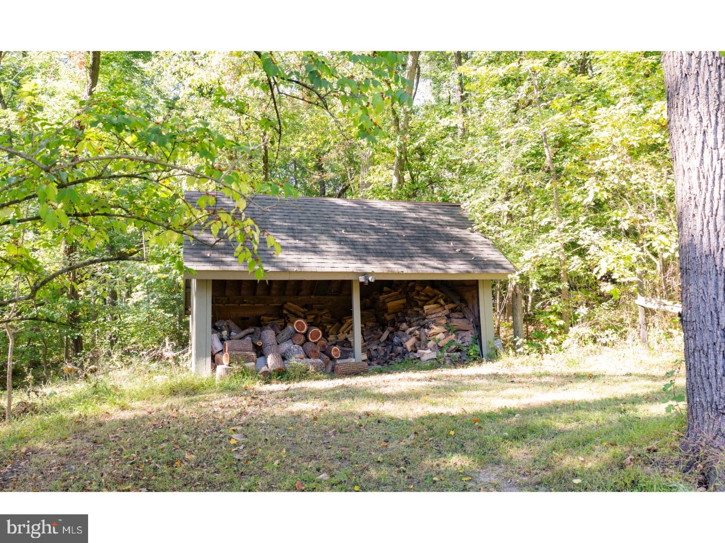 1223 Eagle Road Newtown, PA 18940 - Photo 13 of 20 Storage Shed