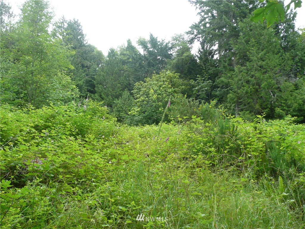 2 Pollock Drive Brinnon, WA 98320 - Photo 1 of 3