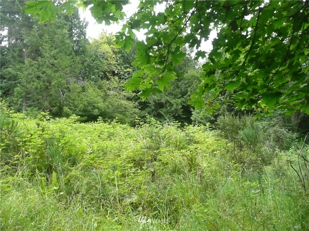 2 Pollock Drive Brinnon, WA 98320 - Photo 2 of 3