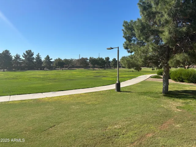 a view of a field with a tree